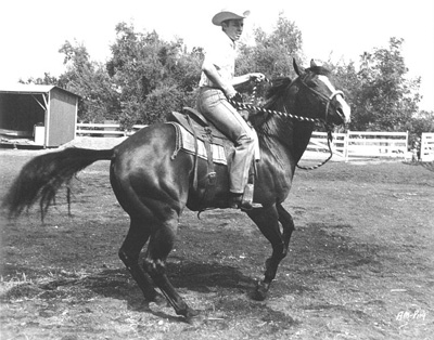 A horse photo with Audie Murphy